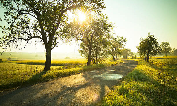 Sunrise over fields and country road.